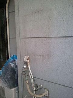 2012-02-03 13.22.30.jpg