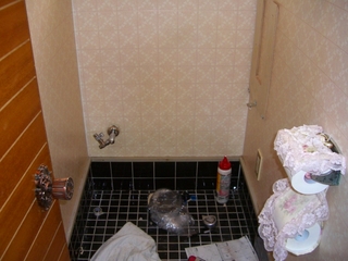トレス写真 351.jpg